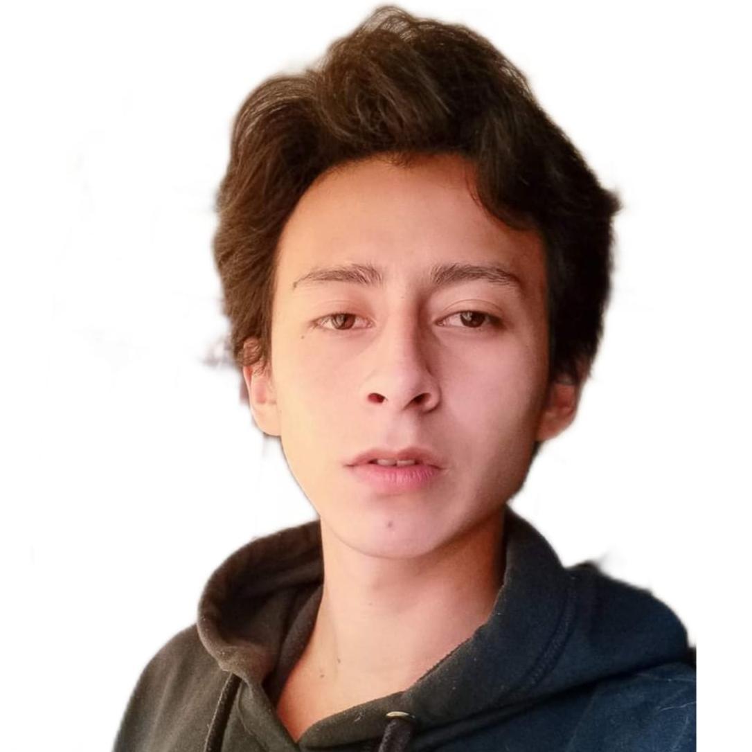 User Image